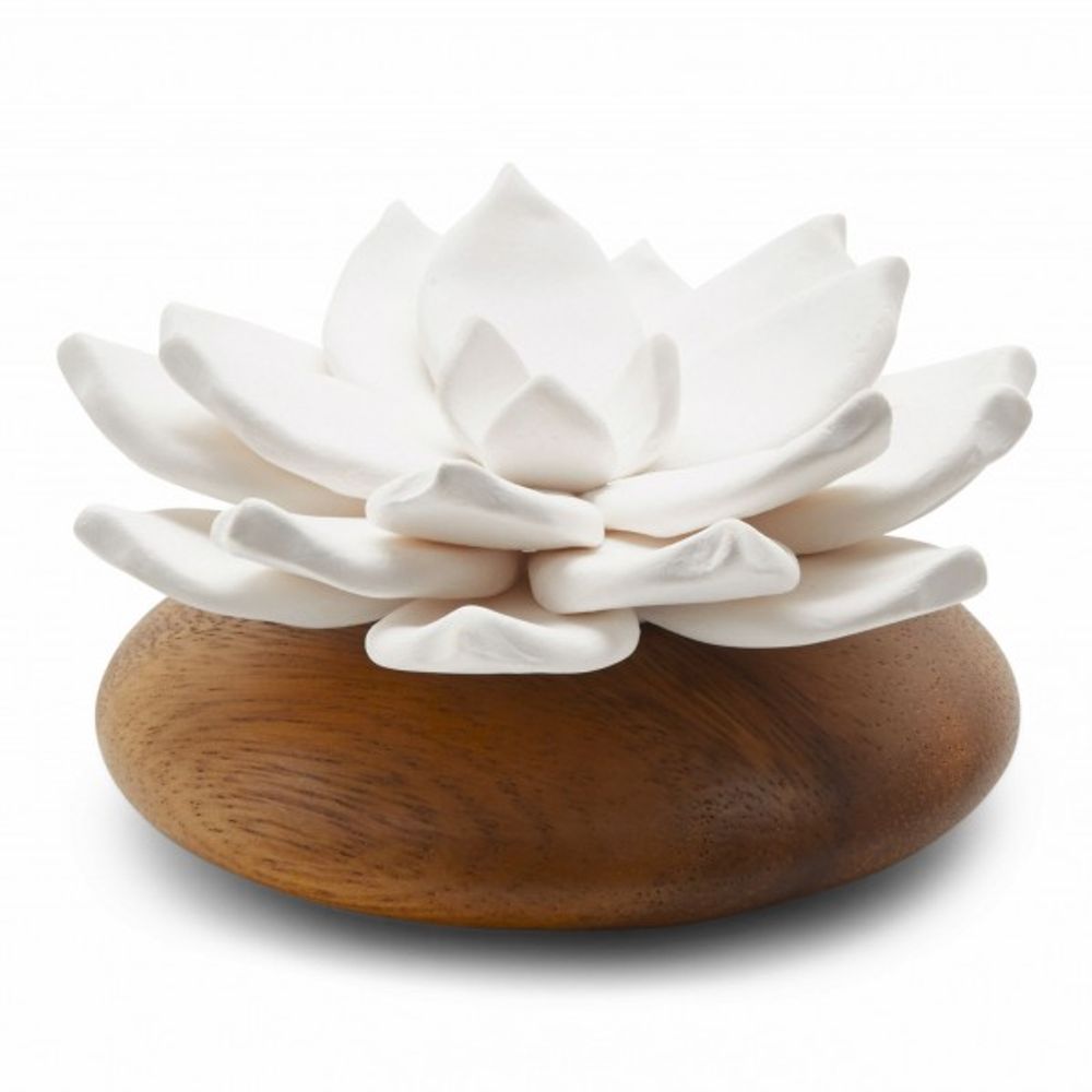 Accessoires à fixer - Diffuseur aromatique naturel Collection ANOQ Zen - ANOQ