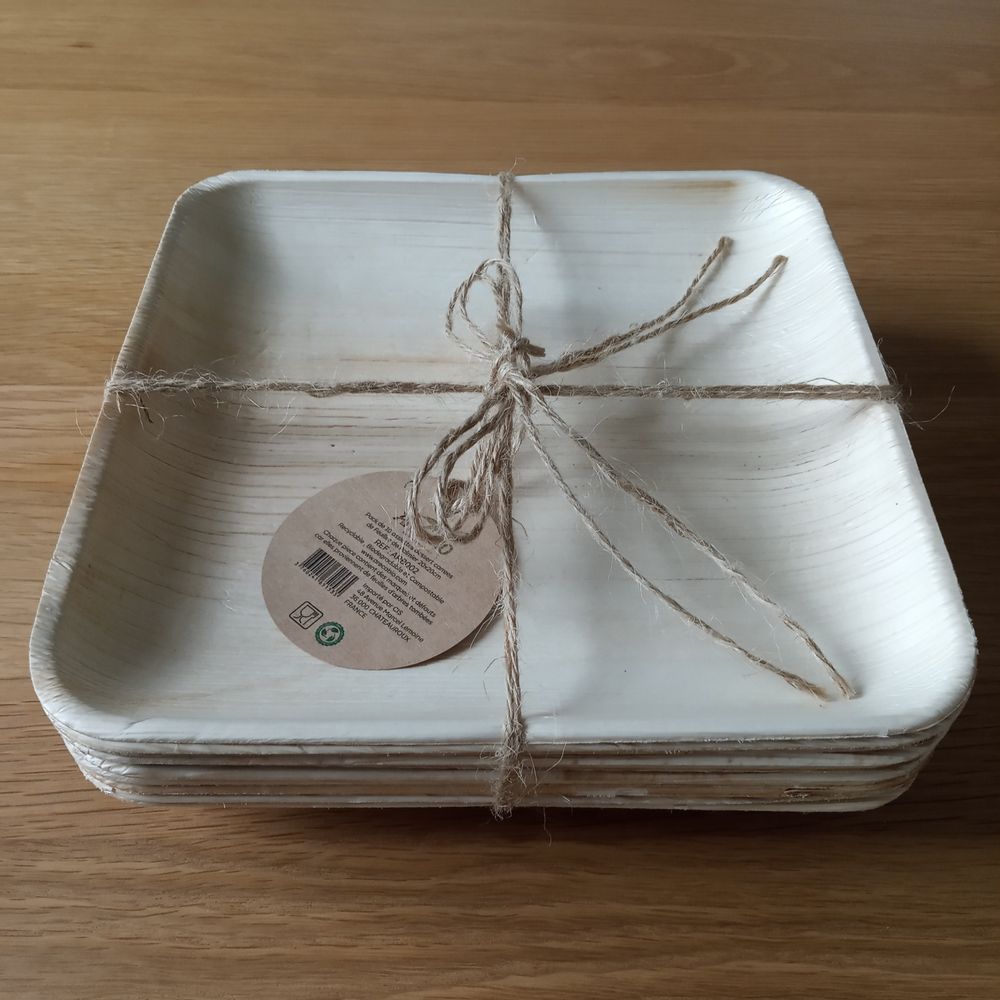 Assiettes au quotidien - Lot de 10 Assiettes carrées (25x25cm)à diner en feuilles de Palmiers - ARECABIO