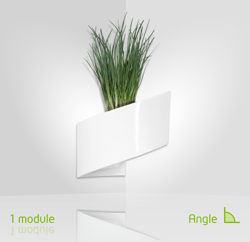 Other wall decoration - Modul'Green Gift, Wall Container - GREEN'TURN