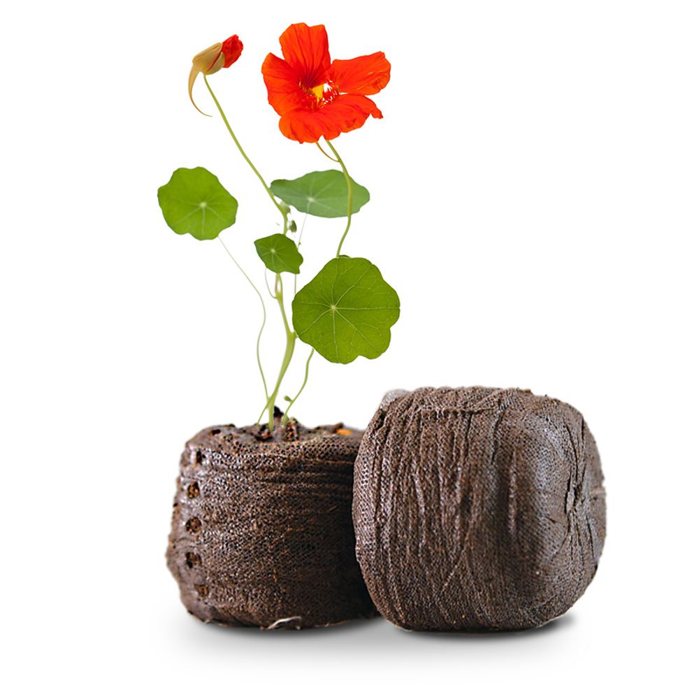 Spices - Ogarden Smart - le potager d'intérieur 90 plantes - SMARTGARDEN360 - OGARDEN POTAGER D'INTÉRIEUR 90 PLANTES