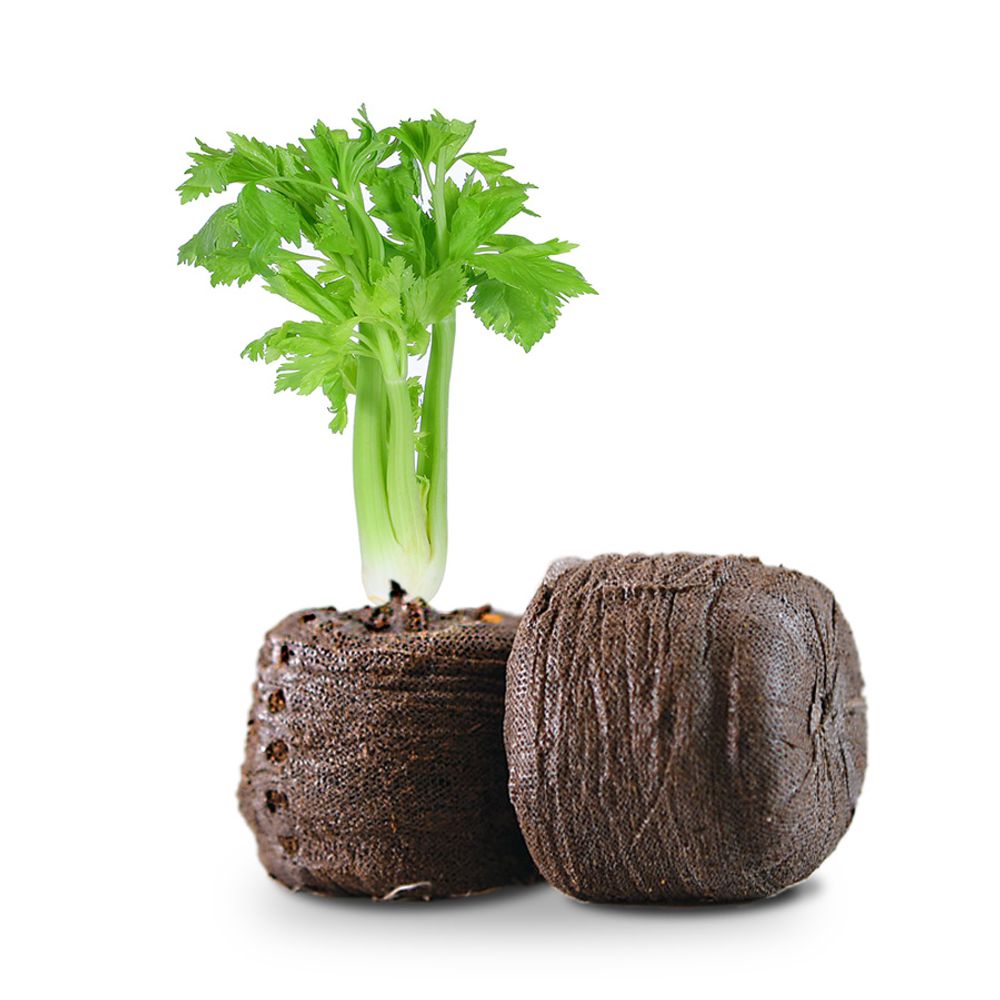 Spices - Ogarden Smart - le potager d'intérieur 90 plantes - SMARTGARDEN360 - OGARDEN POTAGER D'INTÉRIEUR 90 PLANTES