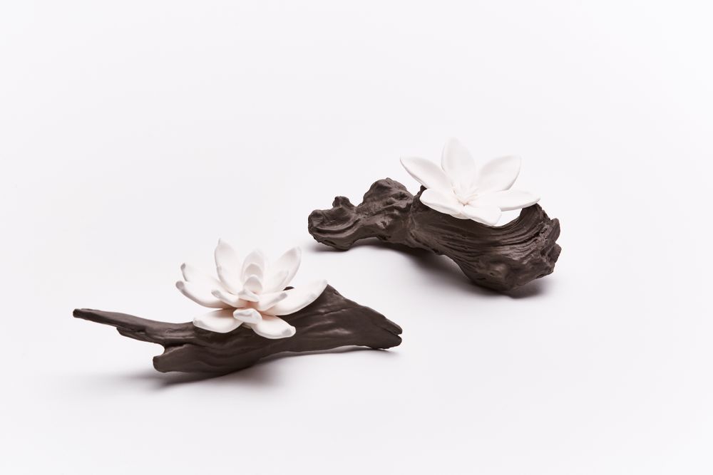 Accessoires à poser - Diffuseur de parfum et d'huile essentielle Flores. - ANOQ