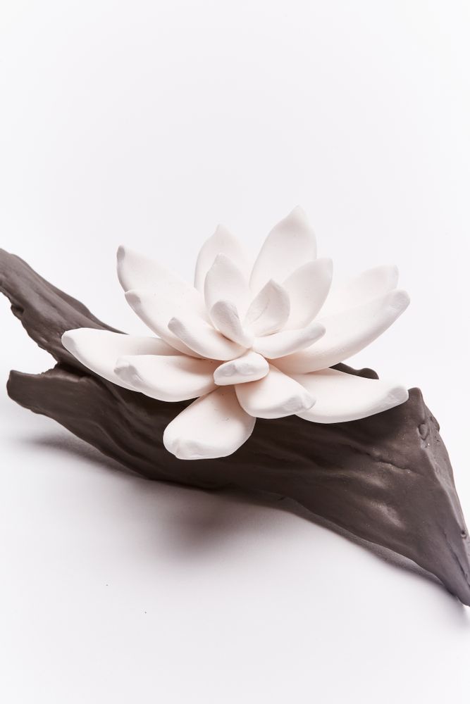Accessoires à poser - Diffuseur de parfum et d'huile essentielle Flores. - ANOQ