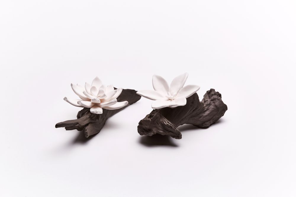 Accessoires à poser - Diffuseur de parfum et d'huile essentielle Flores. - ANOQ