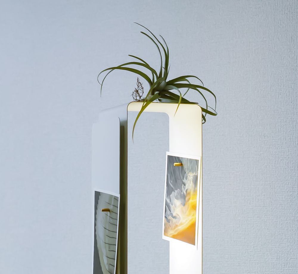 Objets de décoration - LIGHT SHELF - Y.S.M PRODUCTS