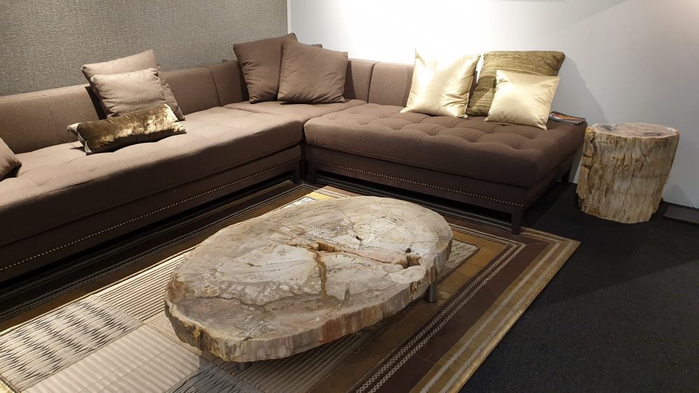 Coffee tables - PETRIFIED WOOD COFFEE TABLE - XYLEIA PETRIFIED WOOD