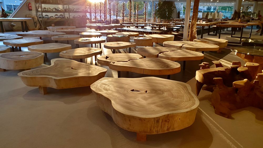 Tables basses - BOIS | Tables basses en bois - XYLEIA PETRIFIED WOOD