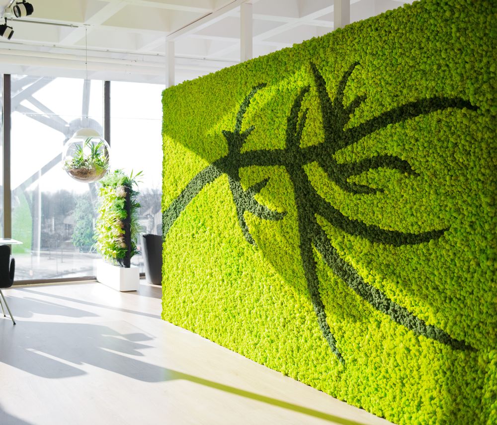 Sets de bureaux - Murs végétal en lichen stabilisé - GREEN MOOD