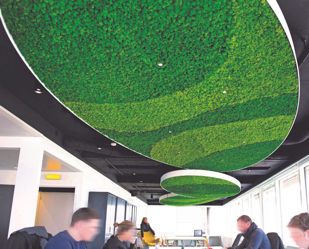Sets de bureaux - Murs végétal en lichen stabilisé - GREEN MOOD