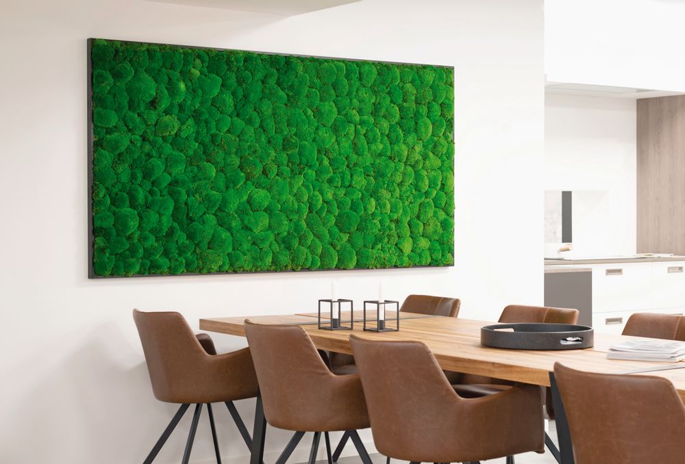 Acoustic solutions - Custom made ball moss walls - GREEN MOOD
