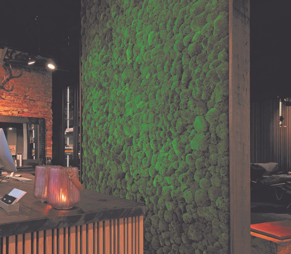 Acoustic solutions - Custom made ball moss walls - GREEN MOOD