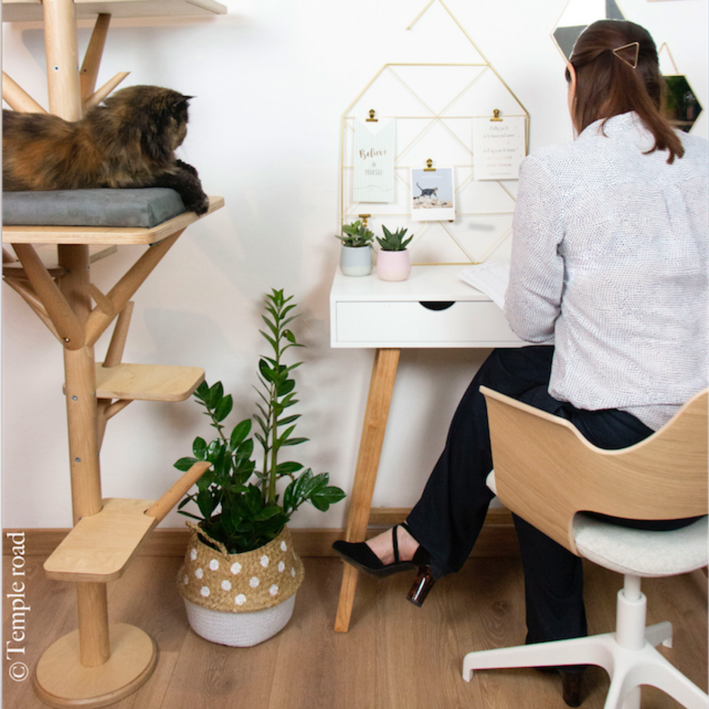 Objets design - L'arbre scandinave  - EDEN ET MITAINE