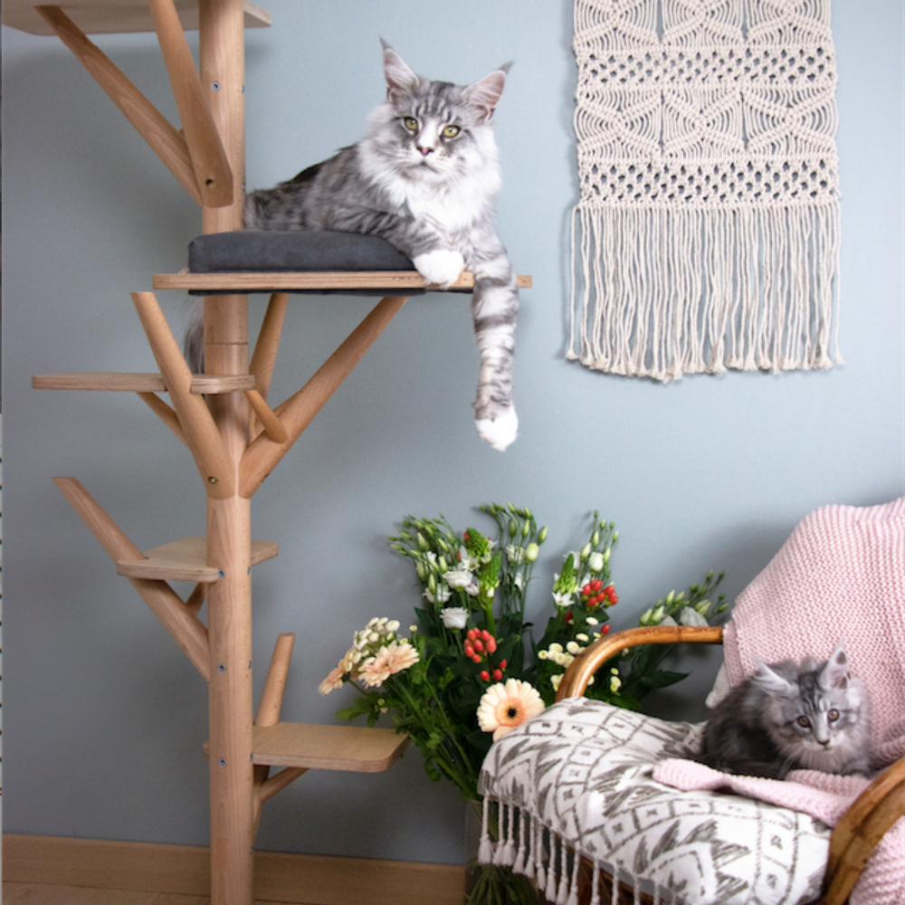 Objets design - L'arbre scandinave  - EDEN ET MITAINE