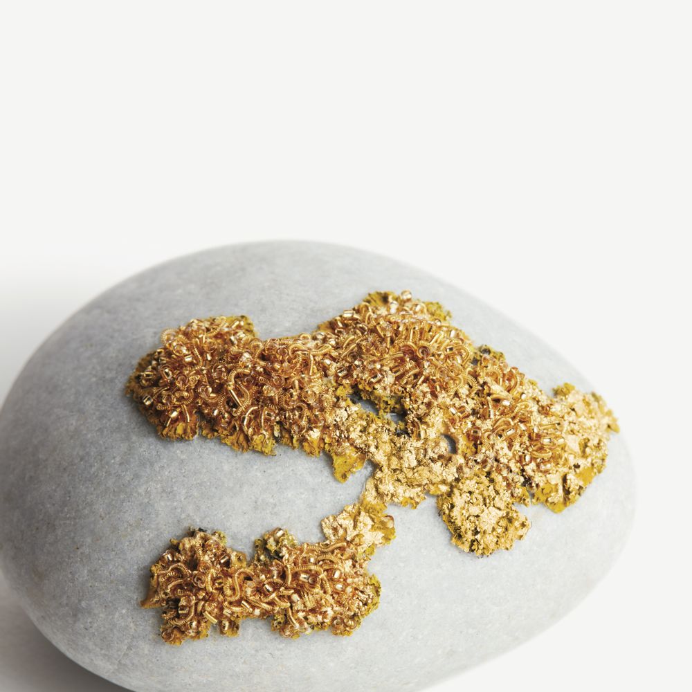 Decorative objects - Golden Lichen - Home Jewelry - DRAGONFLY