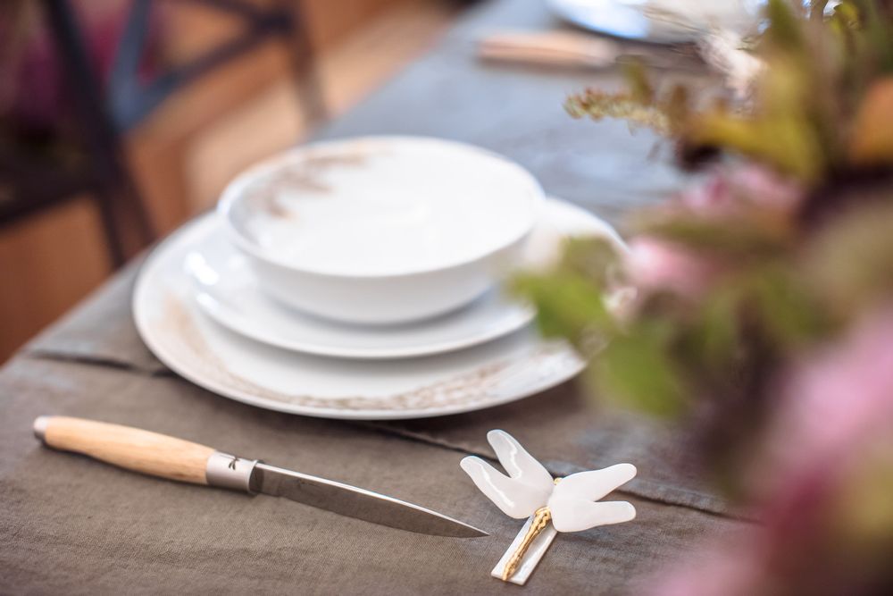 Everyday plates - Essences Précieuses (Precious Essences) - Set of 4 dinner plates - DRAGONFLY