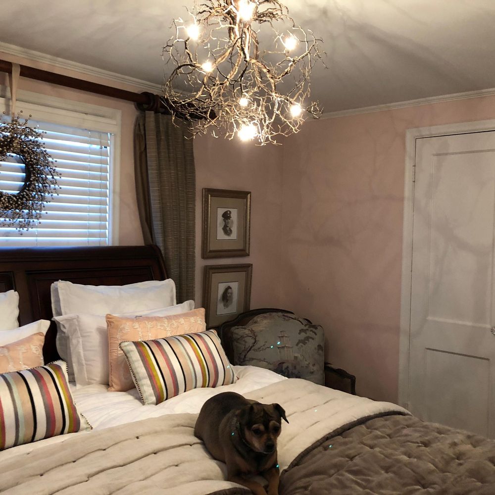 Ceiling lights - Roots Small to Medium - F+M FOS