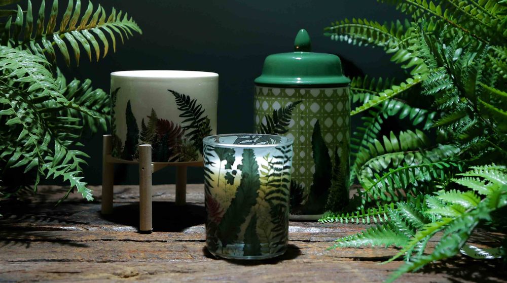 Cadeaux - Gammes Fougeres + Floral Mexicain - TEMERITY JONES