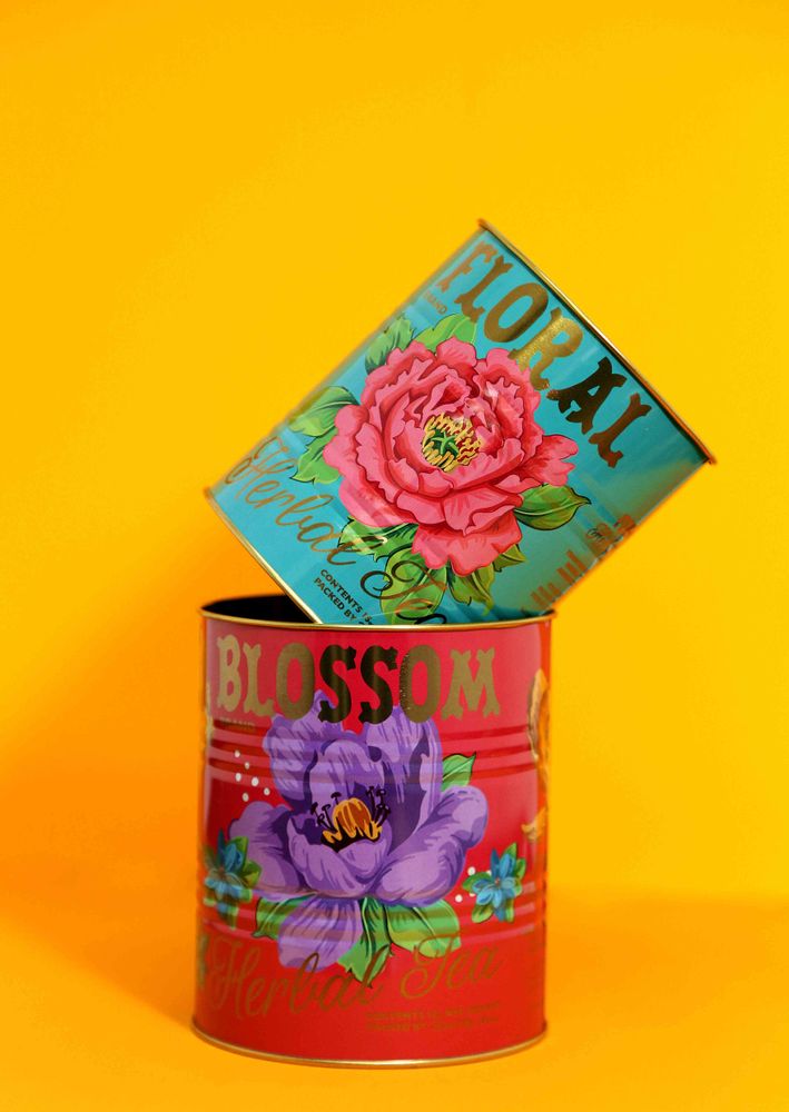 Cadeaux - Gammes Fougeres + Floral Mexicain - TEMERITY JONES