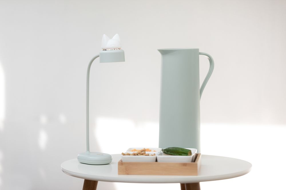 Gifts - Wireless Dual LED Light - KELYS