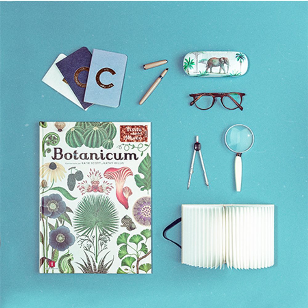Objets de décoration - Un ensemble de produits conçus pour faire sourire le monde. - NATURA