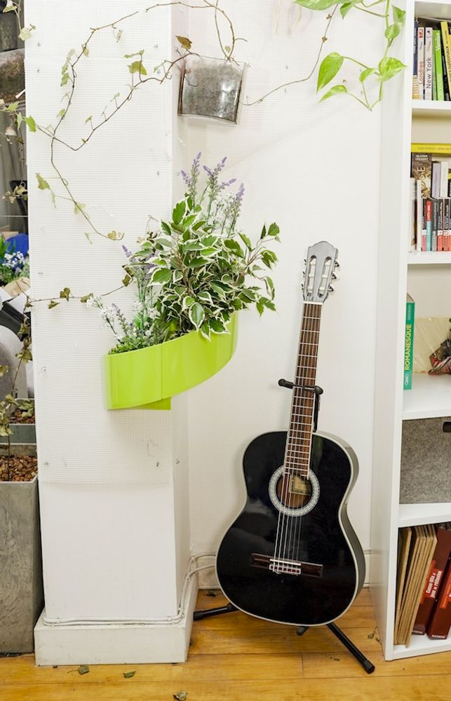 Other wall decoration - Modul'Green, gift - GREEN'TURN