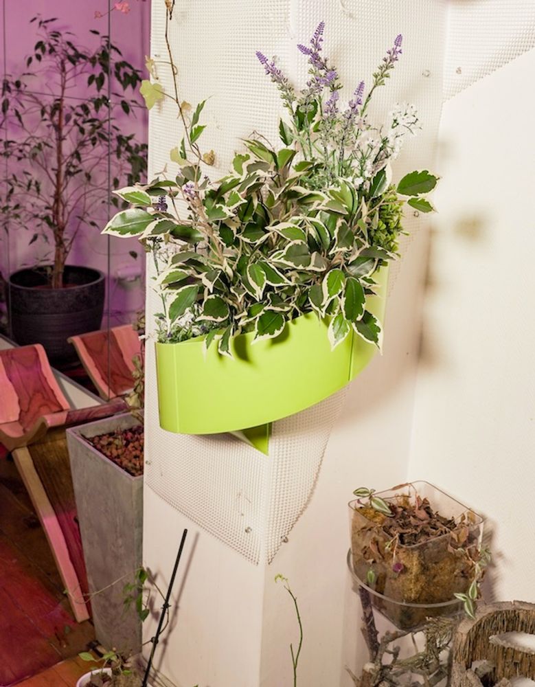 Other wall decoration - Modul'Green, gift - GREEN'TURN