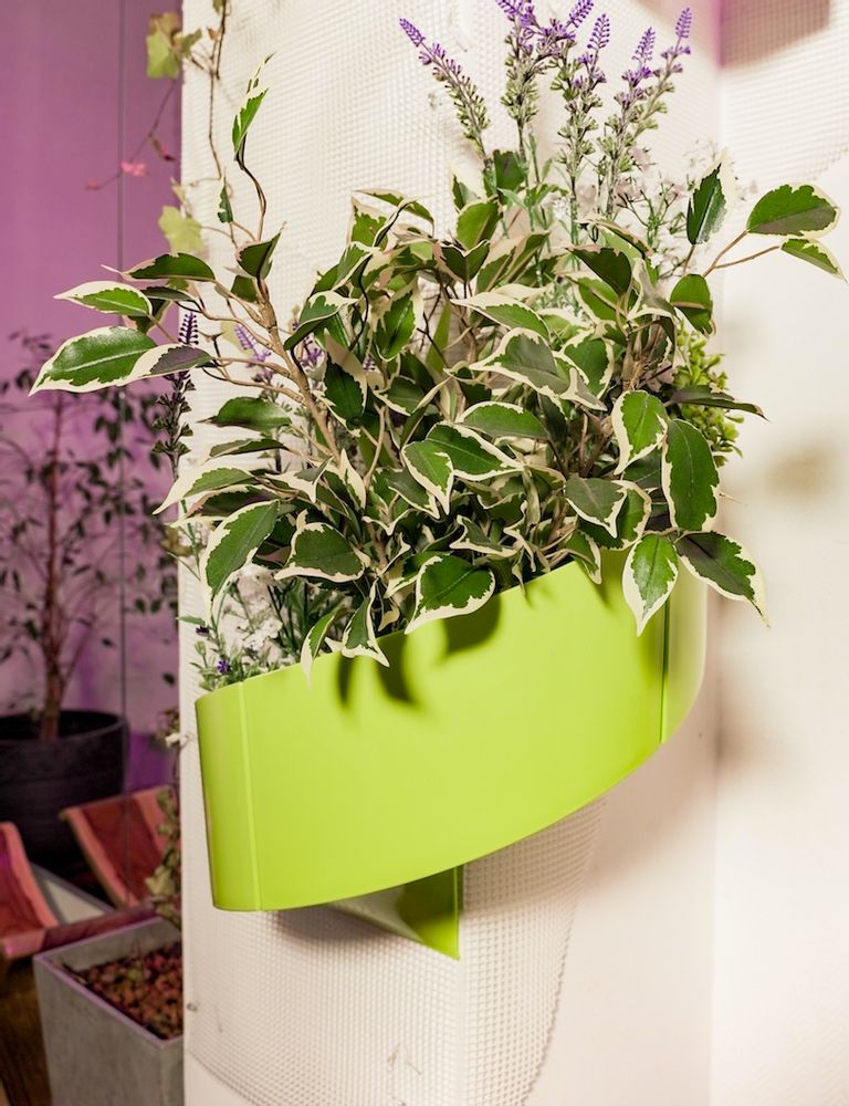 Other wall decoration - Modul'Green, gift - GREEN'TURN