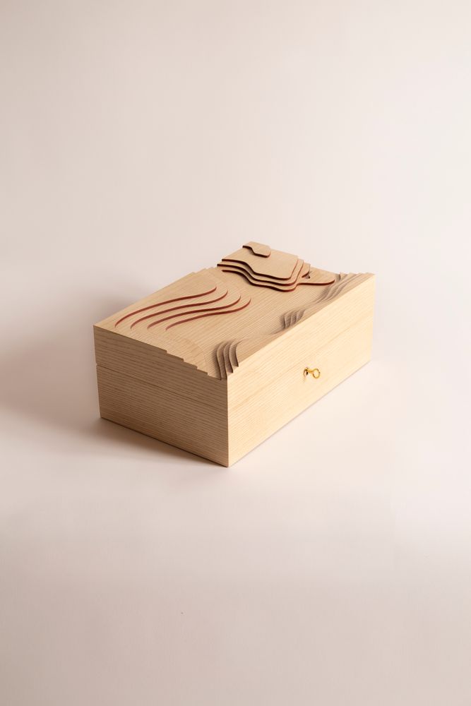 Unique pieces - Topography - Cigar box - DRAGONFLY