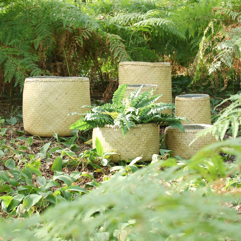 Pottery - Skinbamboo flowerpot - QUETZALES