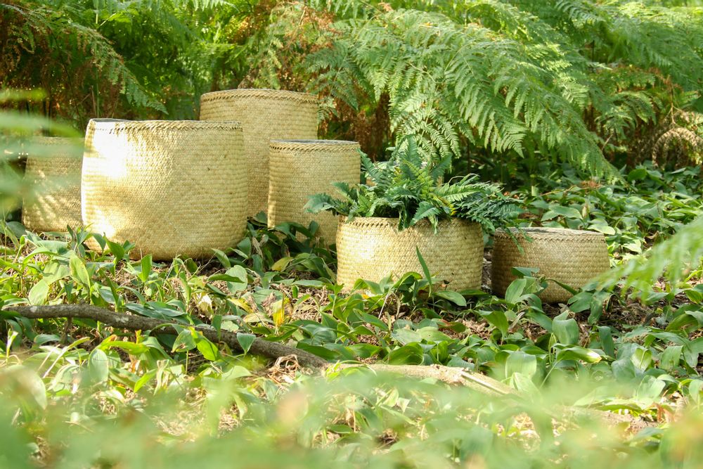Pottery - Skinbamboo flowerpot - QUETZALES