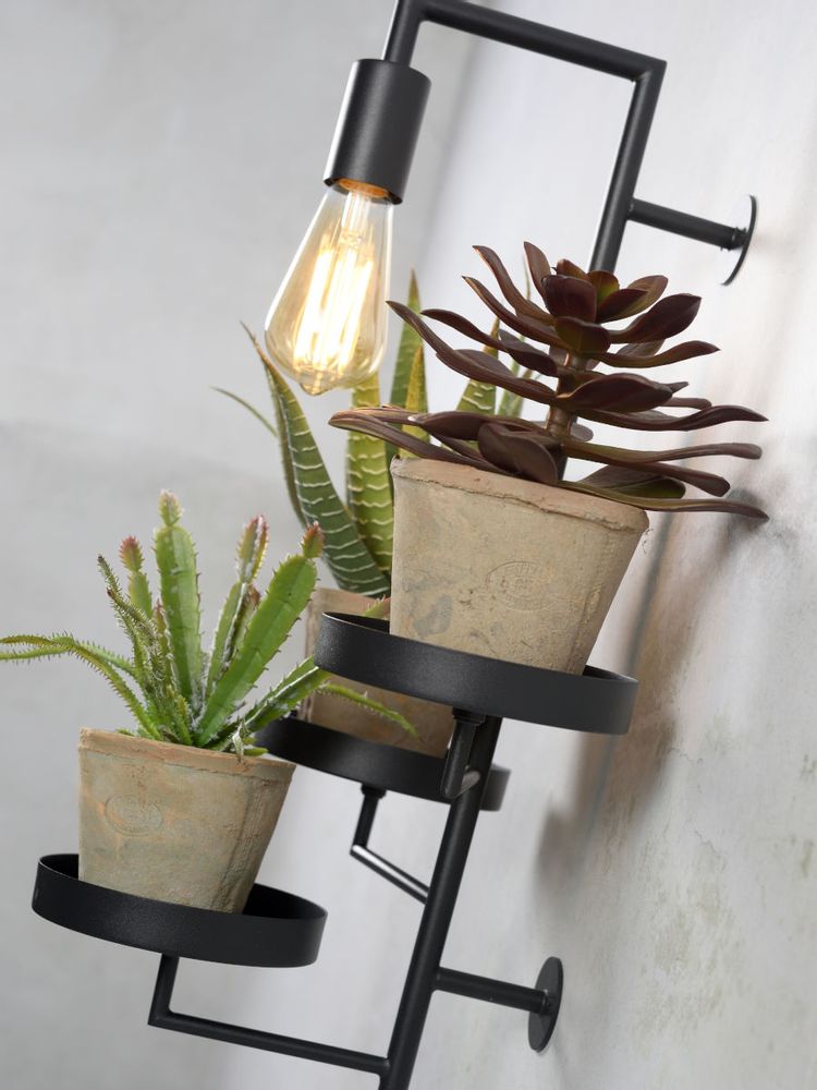 Wall lamps - Florence wall lamps with 3 plant holders - IT'S ABOUT ROMI