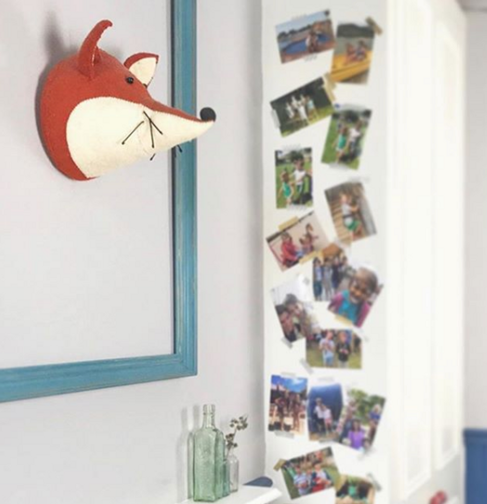 Other wall decoration - Fiona Walker England Animal Heads - S-C BRANDS