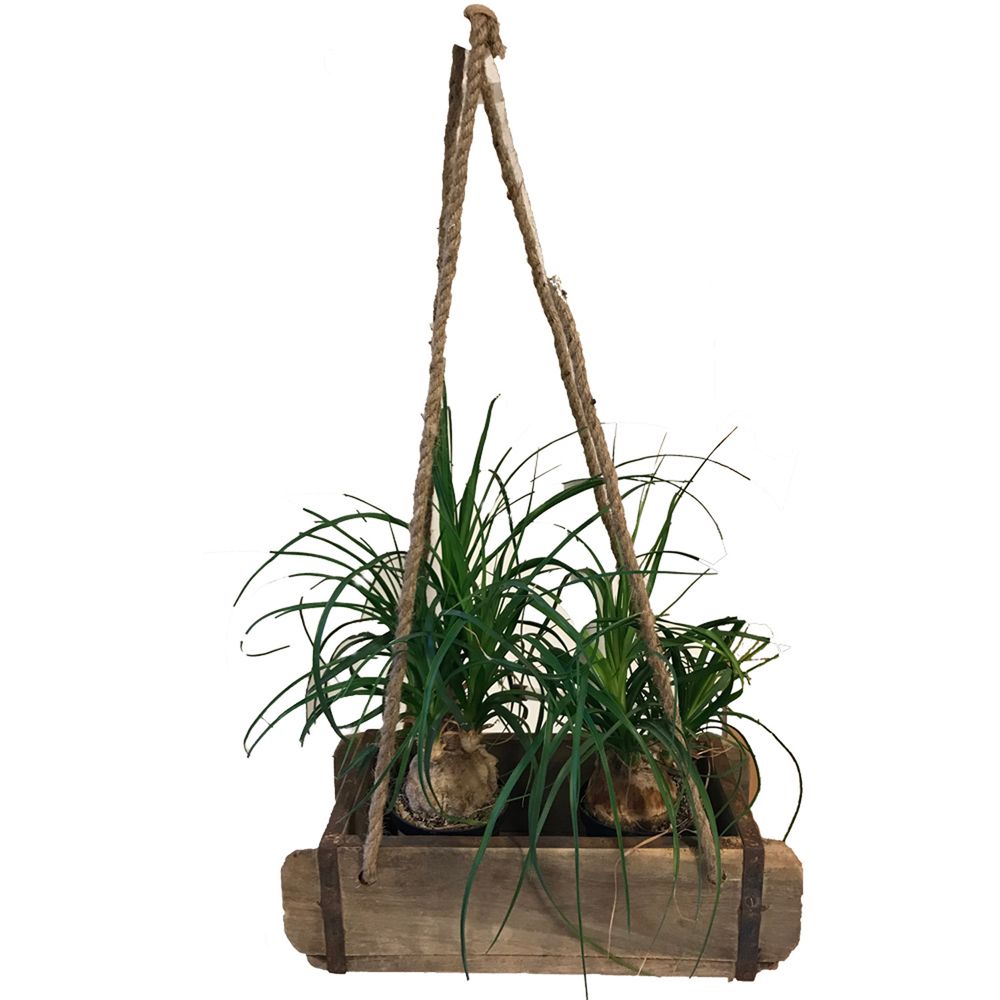 Decorative objects - Flowerpot - VAN DEURS DANMARK
