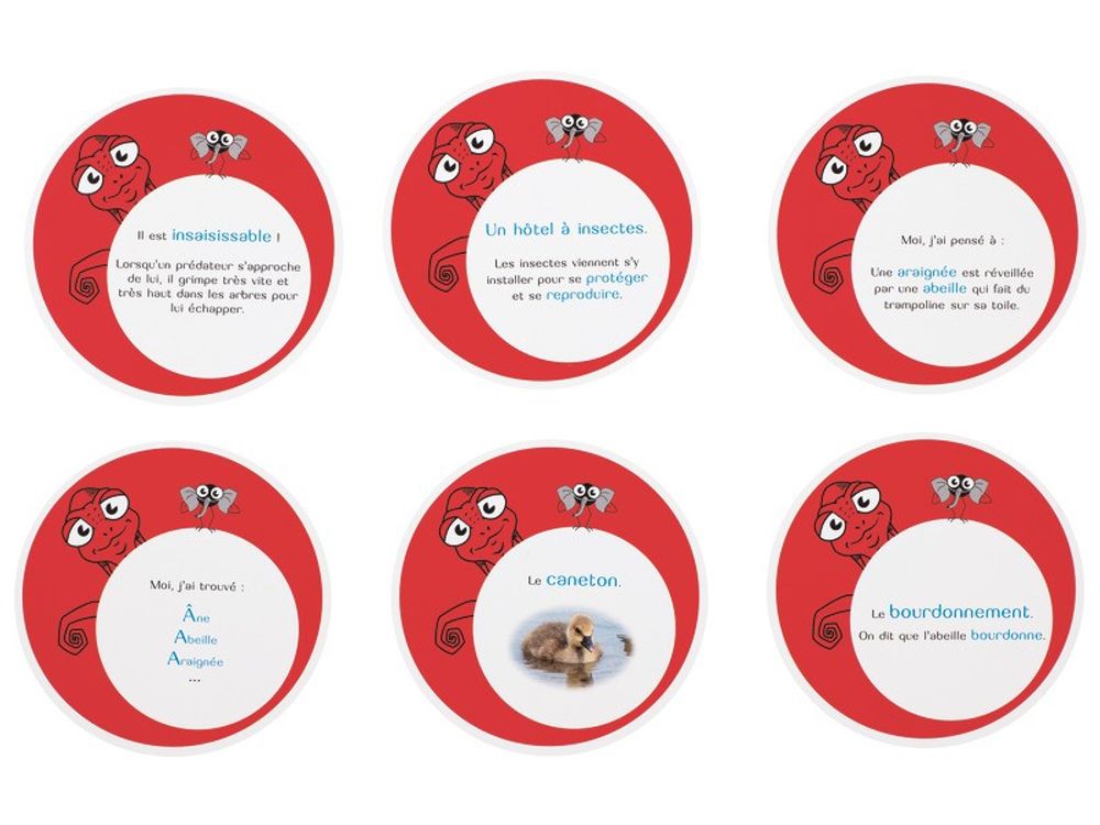 Children's games - Cambox Animal Series - from 3 to 6 years - LE CAMELEON DINE