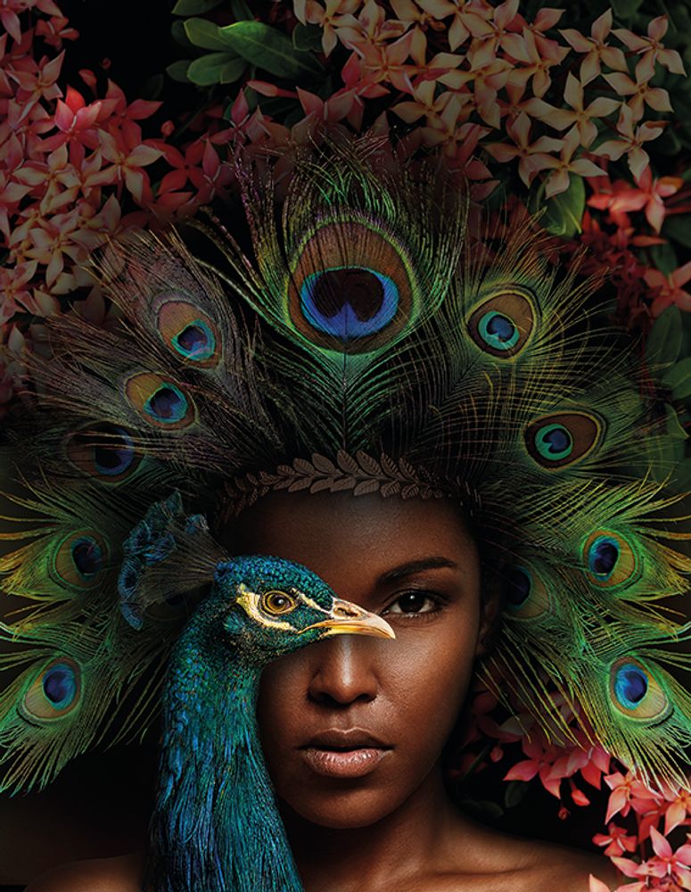 Other wall decoration - AluArt, Peacock Woman - MONDILAB