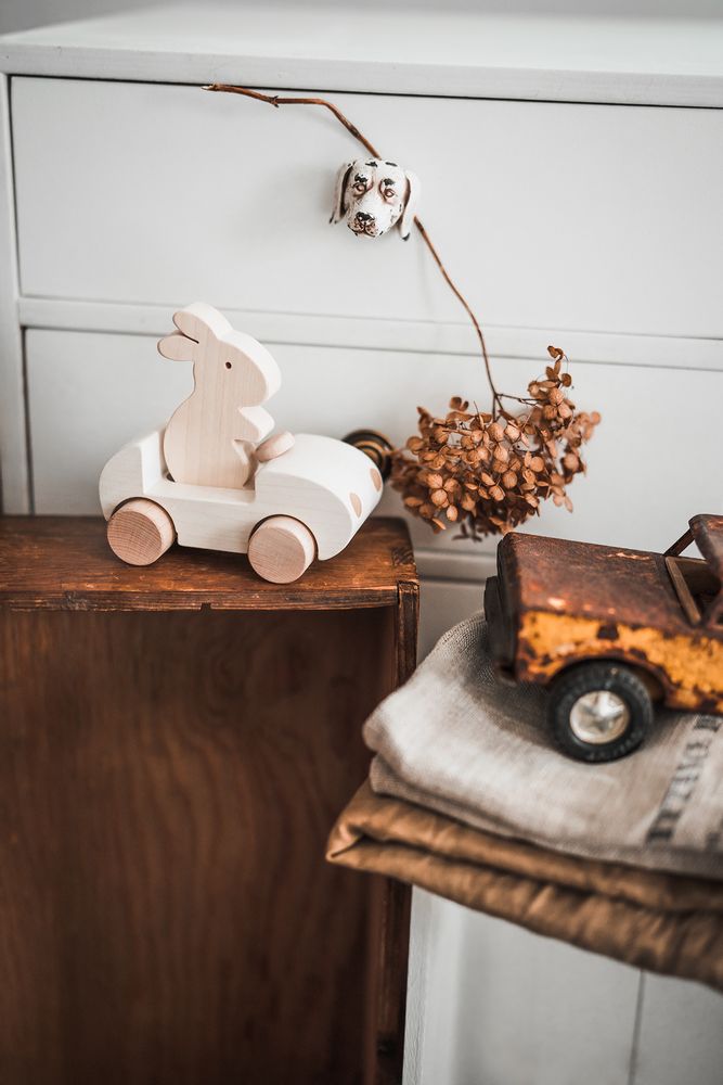 Jouets enfants - Bunny Car - BRIKI VROOM VROOM