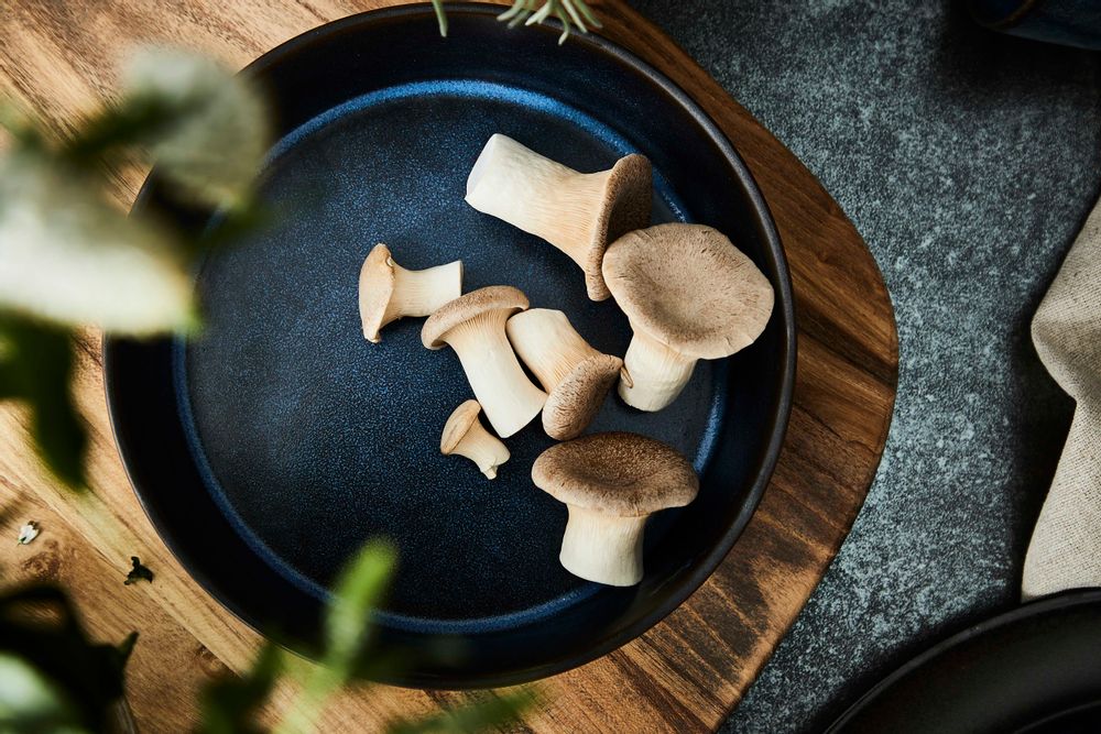 Everyday plates - RAW Metallic Brown, Midnight Blue & Northern Green - AIDA