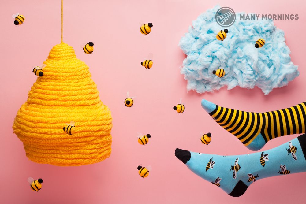 Socks - Many Mornings - MANY MORNINGS