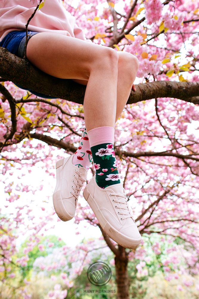 Socks - Many Mornings - MANY MORNINGS