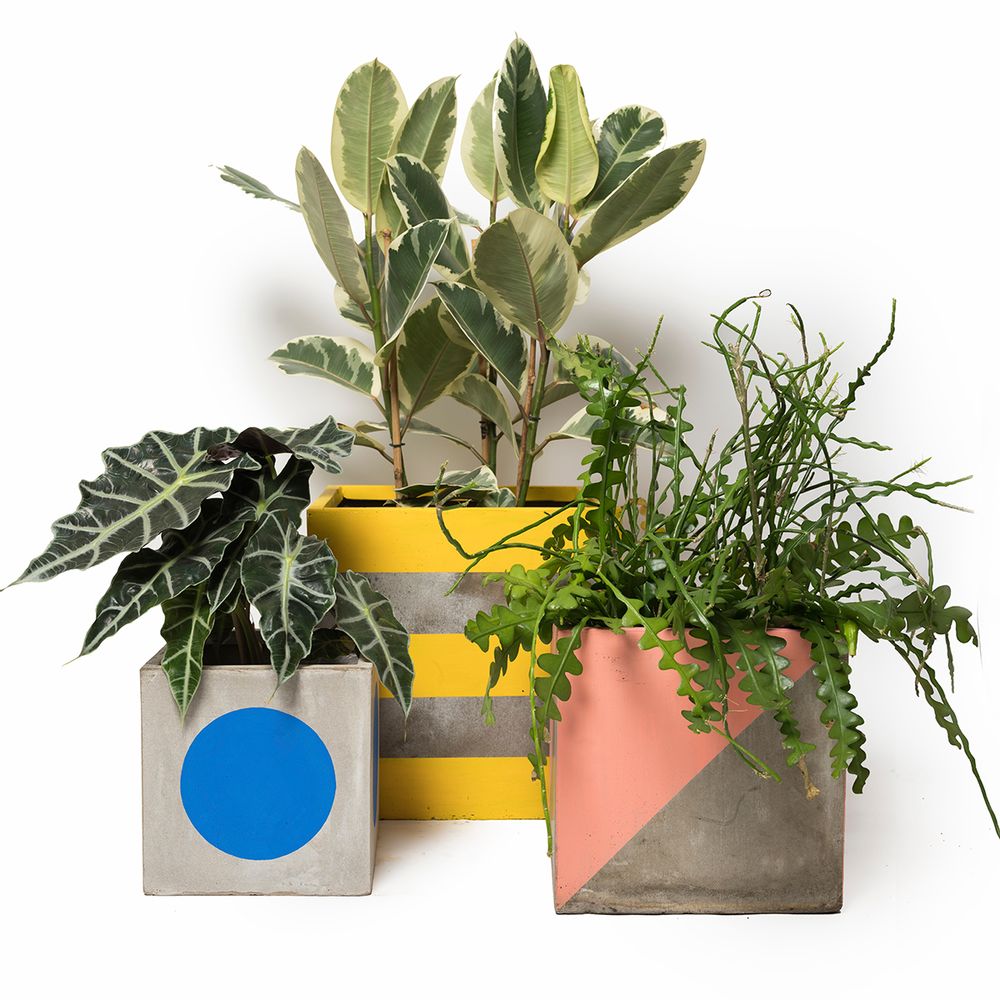 Flower pots - PLAY POTS - DARKROOM