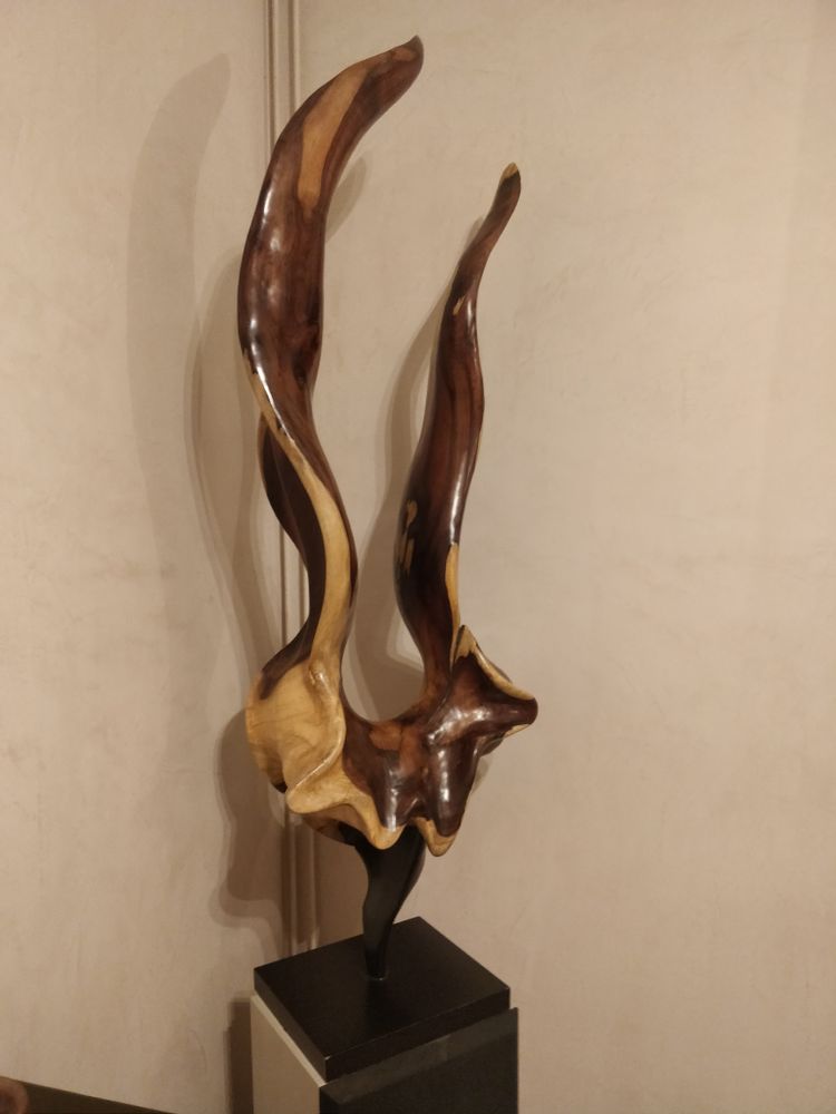 Design objects - Root sculpture - WILD-HERITAGE.COM