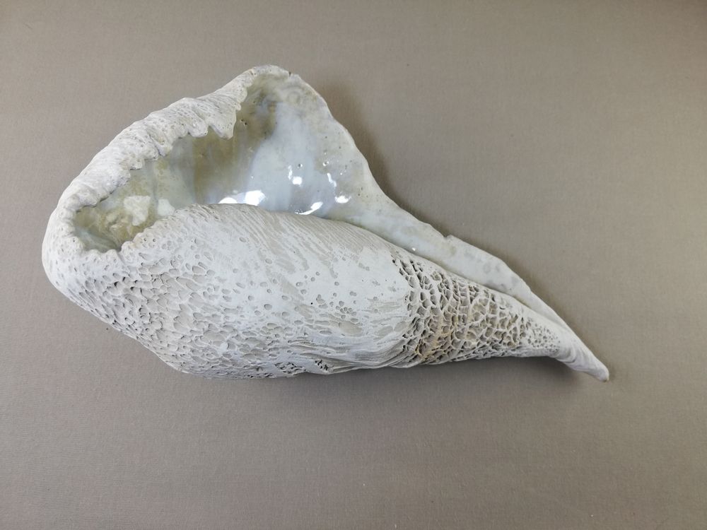 Céramique - COQUILLAGES - MALIFANCE