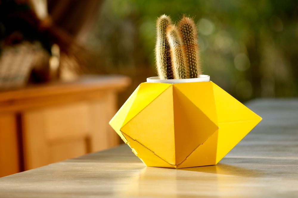 Cadeaux - Le Brillant - POLY