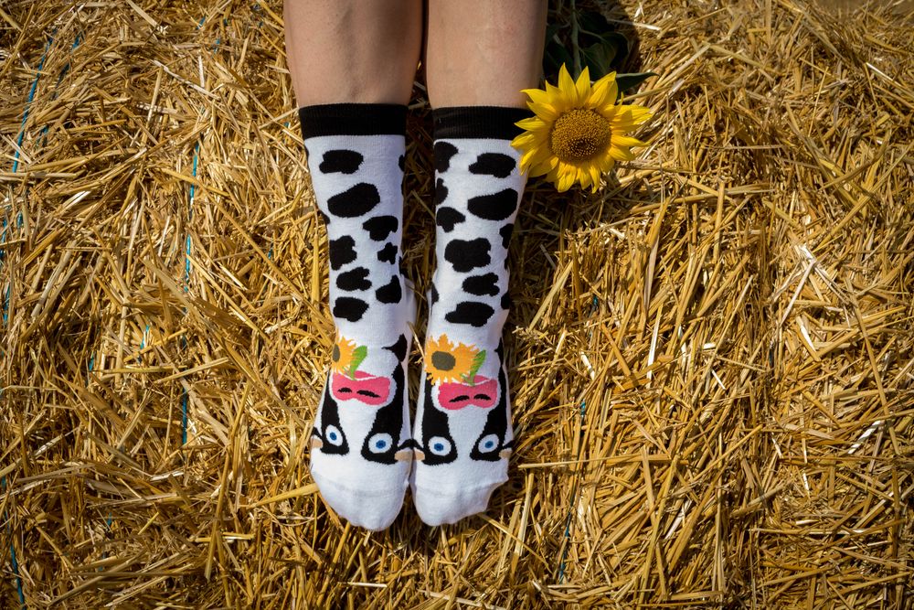 Chaussettes - Arty Chausettes Farm - PIRIN HILL