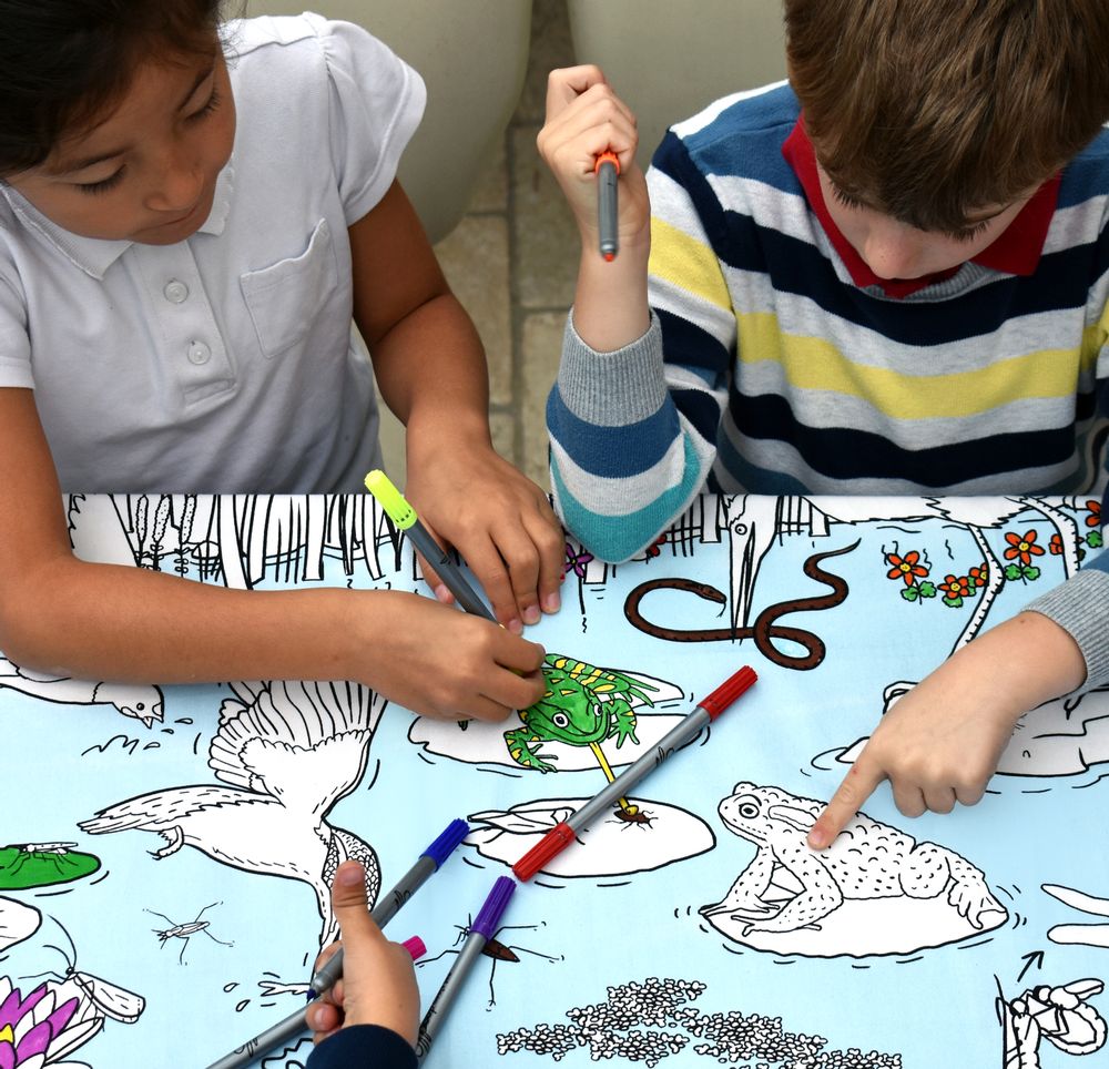 Table cloths - colour & learn pond life tablecloth. - EATSLEEPDOODLE