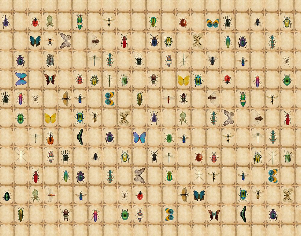 Papiers peints - Insectarium - LÉ PAPIERS DE NINON