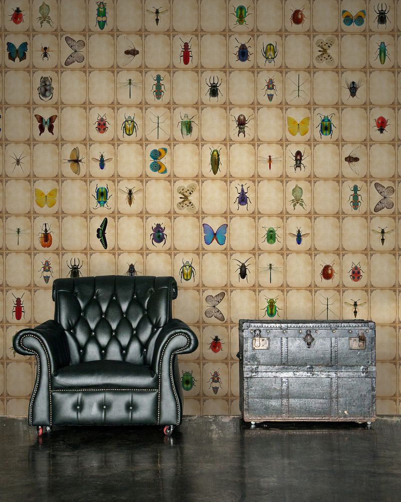 Papiers peints - Insectarium - LÉ PAPIERS DE NINON