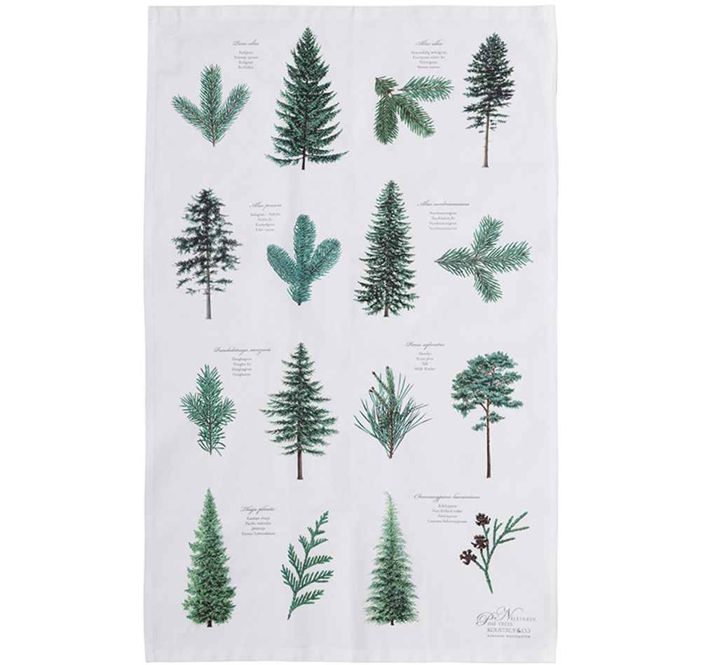 Torchons textile - Torchons en coton biologique - KOUSTRUP & CO