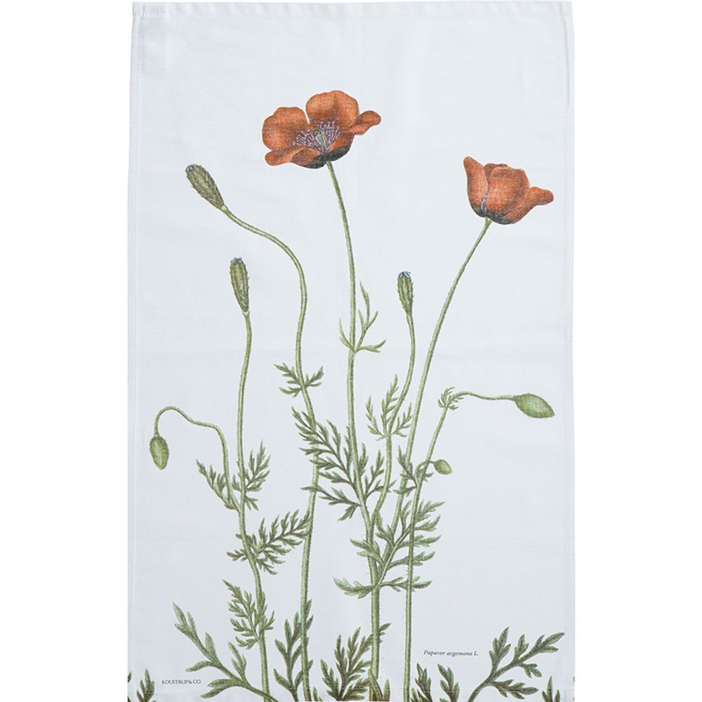 Torchons textile - Torchons en coton biologique - KOUSTRUP & CO