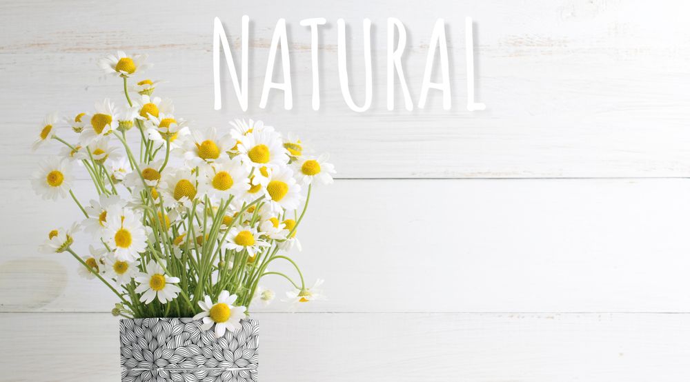 Gifts - Ice bucket and folding vase origami NATURAL - ICEPAC FLOWERPAC